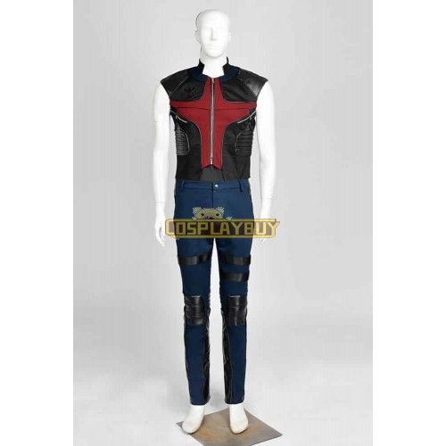 Avengers: Age of Ultron Hawkeye Clint Barton Eagle Eye Cosplay Costume