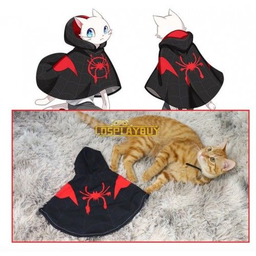 Spider-ManFar From Home Peter Parker Spiderman Black Cat Costume Pet Costume