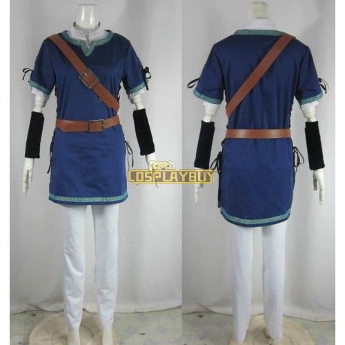 The Legend of Zelda Link Blue Cosplay Costume