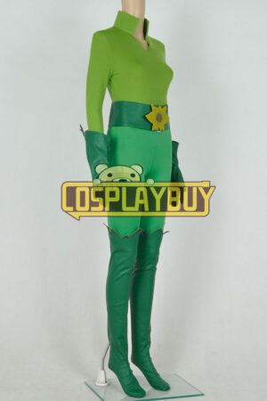 Batman And Robin Poison Ivy Costume