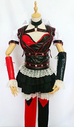 Batman Arkham Asylum Harley Quinn Cosplay Costume