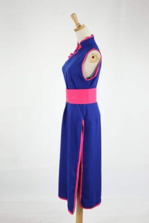 Dragon Ball Z Chi Chi cosplay costume