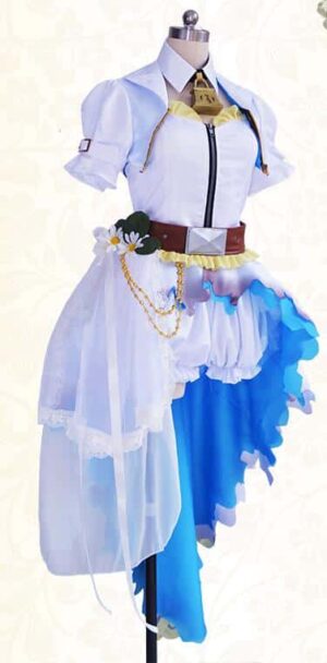 Fate/Grand Order Nero Claudius Dress Cosplay Costume