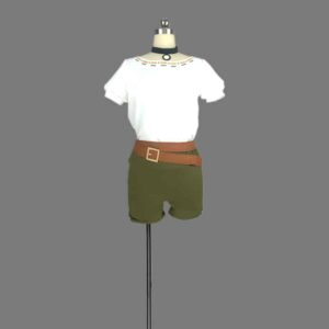 The Legend of Zelda: Breath of the Wild Link Cosplay Costume