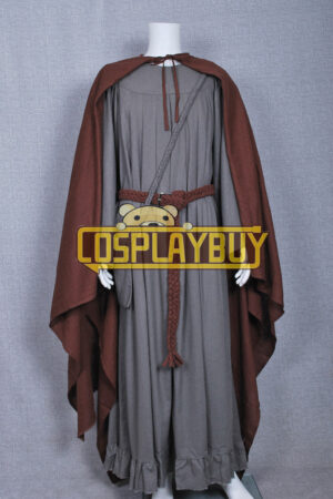 The Lord Of The Rings Gandalf Brown Costume