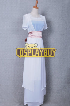 Titanic Costume Rose Dress Costume