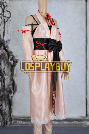 Vocaloid 2 Project DIVA Extend Cosplay Meiko Sakine Dress